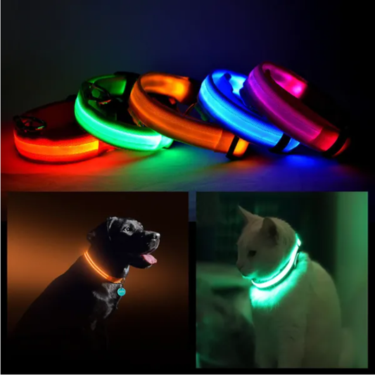 LED Pet Safety Halo Collar