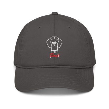 Bio Vizsla Dog embroided baseball cap with Vizsla Dog Name for Vizsla