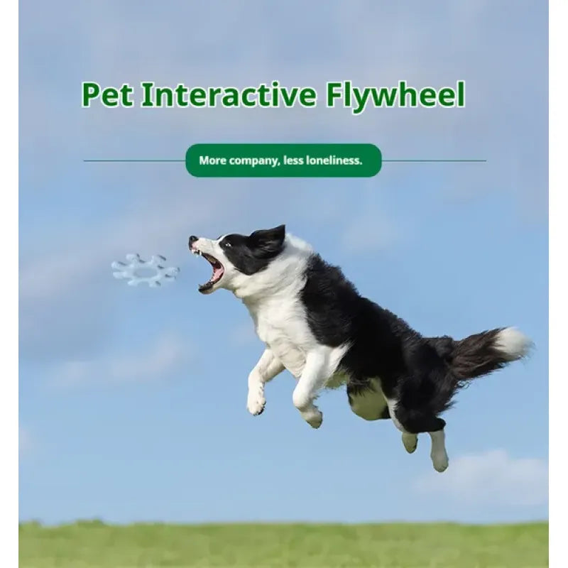 Interactive Flying Disc Toy for Dogs