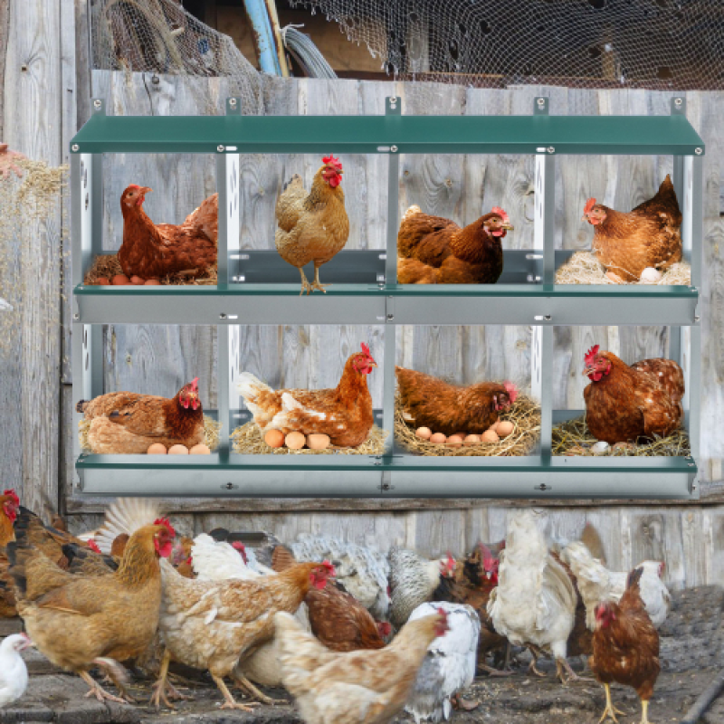 8-Compartment Metal Chicken Nesting Box