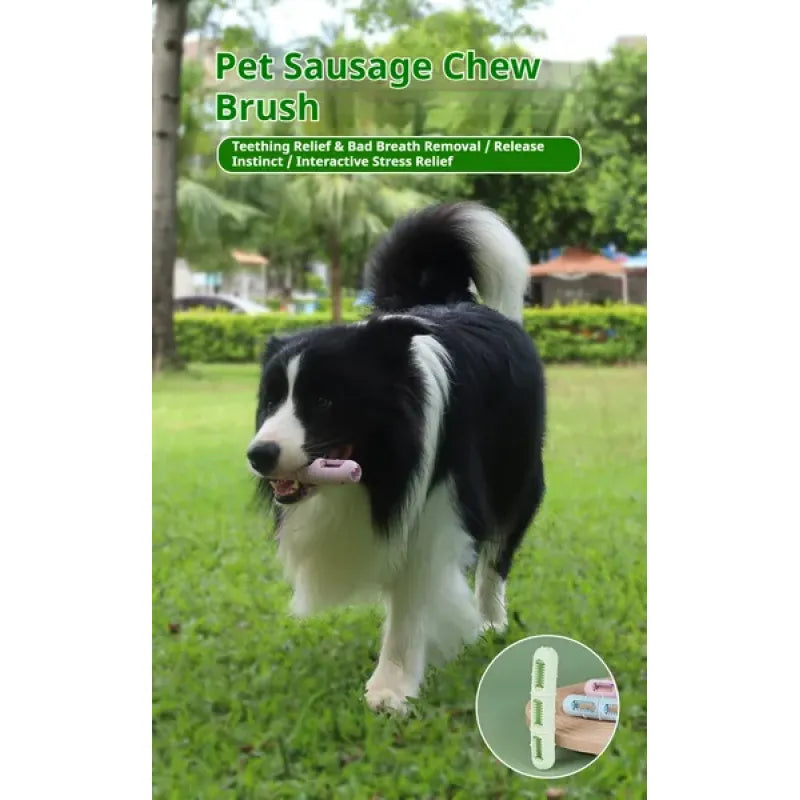 Sausage Chew Toothbrush for Dogs