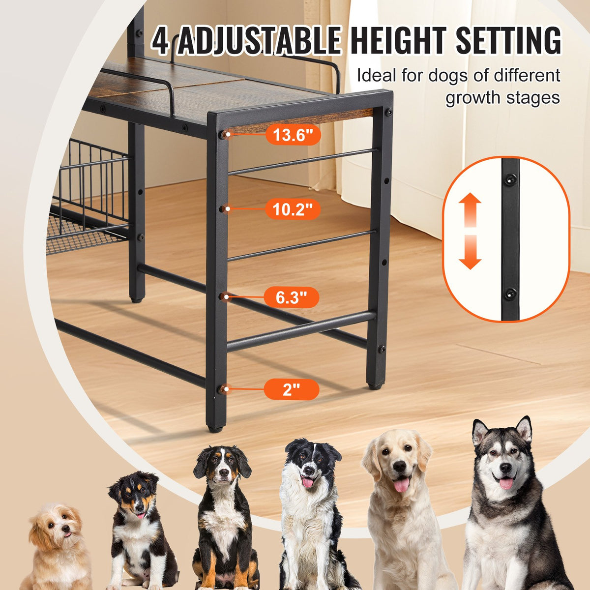 Pet Feeding Station with Storage, Elevated Dog Bowls, Raised Dog Bowl